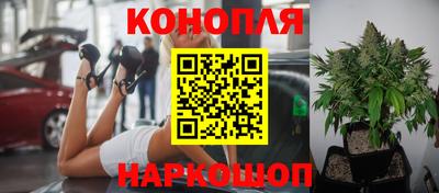 метадон Вышний Волочёк