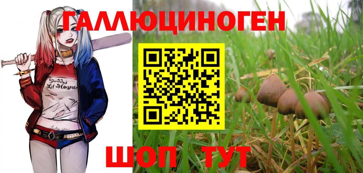 Галлюциногенные грибы MAGIC MUSHROOMS Вичуга